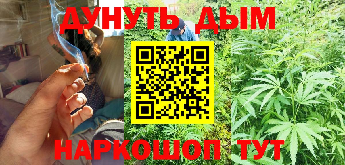 Каннабис ГИДРОПОН Чернушка